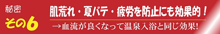 秘密 その6 肌荒れ・夏バテ・疲労を防止にも効果的！ →血流がよくなって温泉入浴と同じ効果！